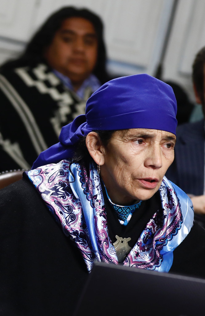 Machi Francisca Linconao. Spiritual Leader and member of the constitutional convention representing the Mapuche people